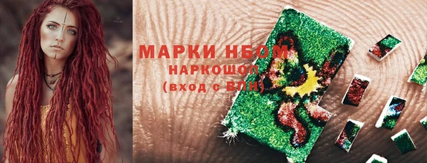стаф Абаза