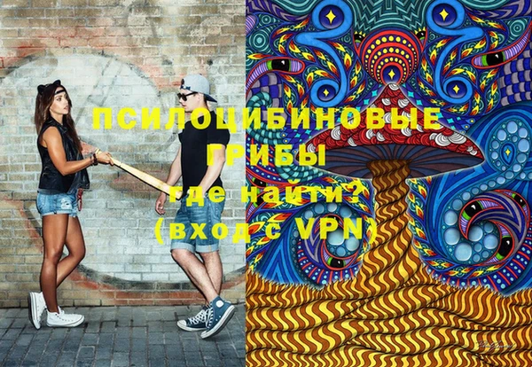 стаф Абаза