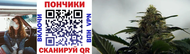mega как войти  Кировград  Канабис марихуана  купить  